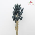 Dry Lagurus (Bunny Tails) - Slate Blue - Pudu Ria Florist Southern