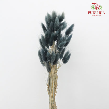 Dry Lagurus (Bunny Tails) - Slate Blue - Pudu Ria Florist Southern