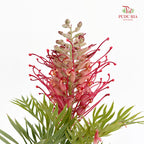 Grevillea (Spider Flowers) - (Per Bundle)