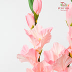 CNY Artificial Gladiolus 92cm - Light Pink (2 Stems)