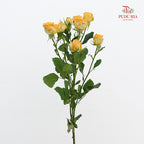 Rose Spray Yellow - (8-10 Stems)