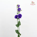 Eustoma  Dark Purple - (12-15 Stems)