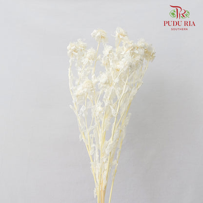 Dry Safflower - White