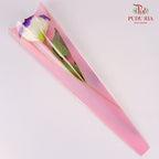 Korea Plastic Wrapping Pink - FPL037#1 - Pudu Ria Florist Southern