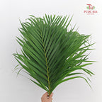 Yellow Palm Leaf 棕榈叶 (M) - (10 Stems)