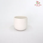TY-8822 Asst Pot