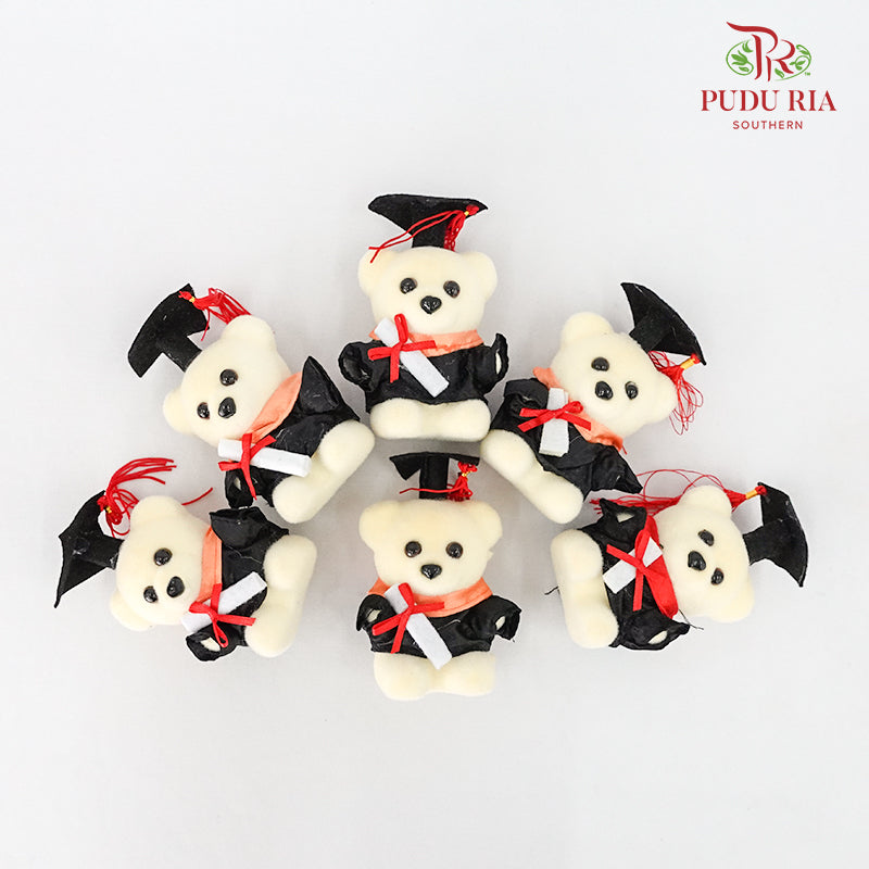 6 Pcs Graduation Toy 4' - FTY001#1 - Pudu Ria Florist Southern