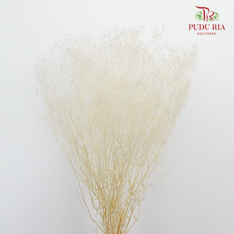 Preservative Baby Breath - White - Pudu Ria Florist Southern