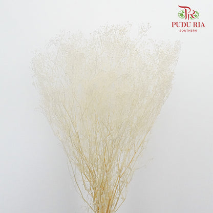 Preservative Baby Breath - White - Pudu Ria Florist Southern