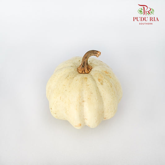 Pumpkin White- (Per Piece)