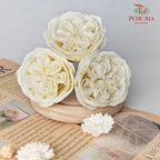 16 Bloom Austin Soap Flower English - FBA088#2