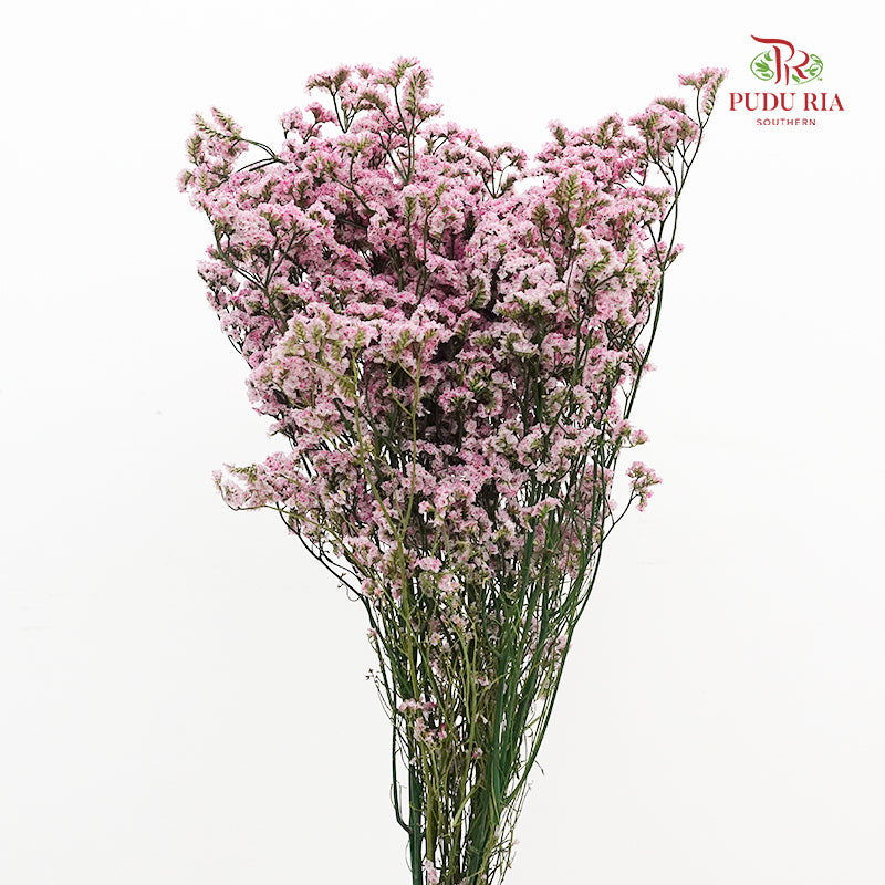 Dry Caspia - Light Pink
