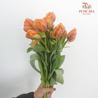 Tulip Golden Double petal (8-9 Stems) - Pudu Ria Florist Southern
