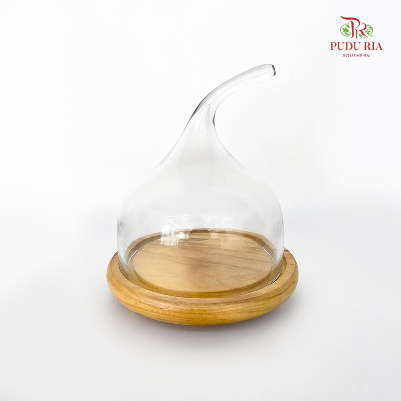 284423W Glass Dome
