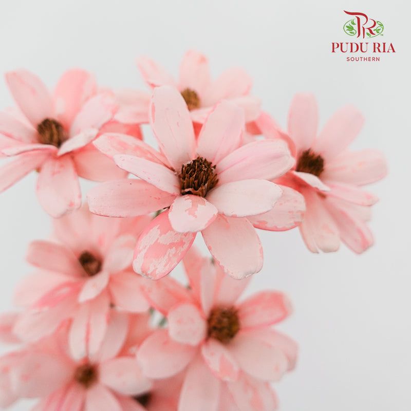 Dry Sunflower Seed Flower - Light Pink