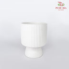 TY-8816 Pot