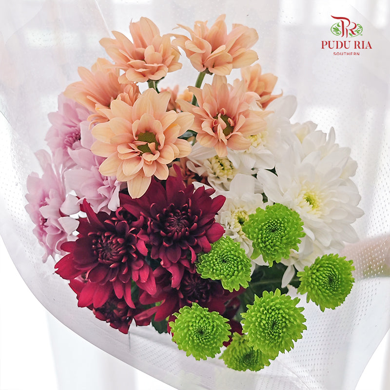 Chrysanthemum Pompom Mix Colour - (5 Stems)