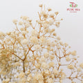 Preservative Baby Breath - Natural - Pudu Ria Florist Southern