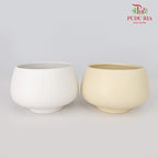 TY-8819 Pot