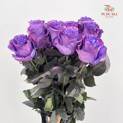 Rose Mondial Dyed Dewberry Metallic - (8-10 Stems)