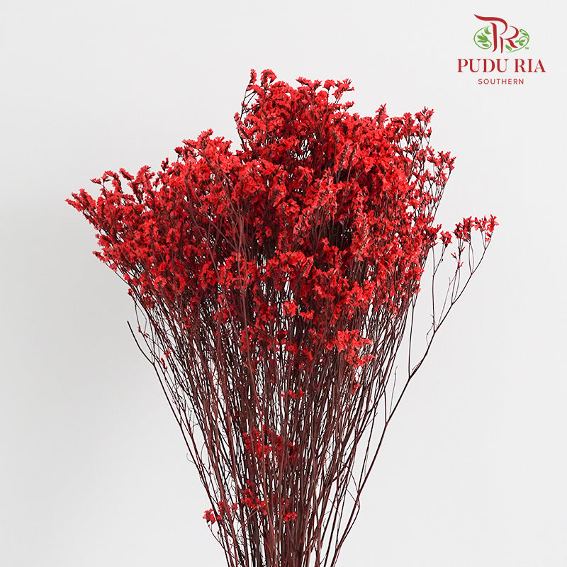 Dry Caspia - Red