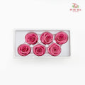 6 Bloom Preservative Rose - Flamingo Pink