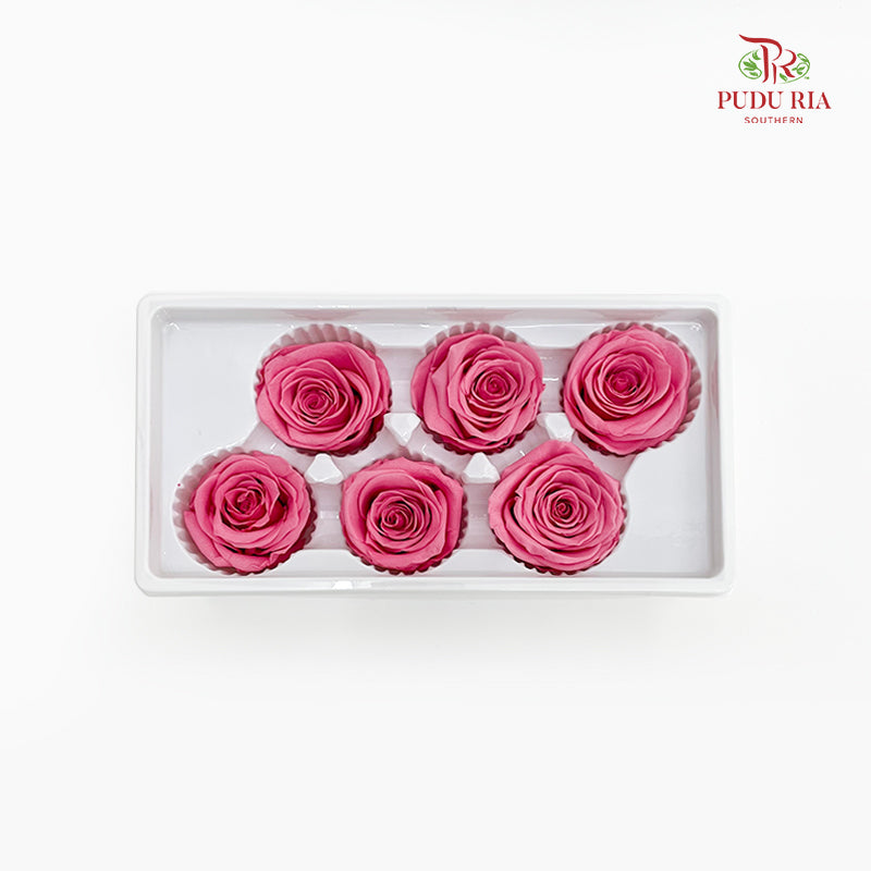 6 Bloom Preservative Rose - Flamingo Pink