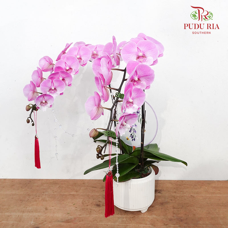 CNY Potted Plant Arrangement 2024#78