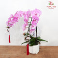 CNY Potted Plant Arrangement 2024#78