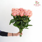 Rose Peachy Pink (8-10 Stems) - Pudu Ria Florist Southern