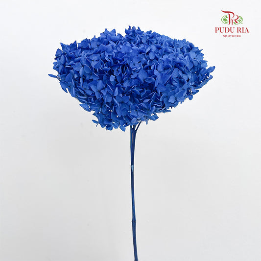 Preservative Hydrangea - Dark Blue / Per Stem