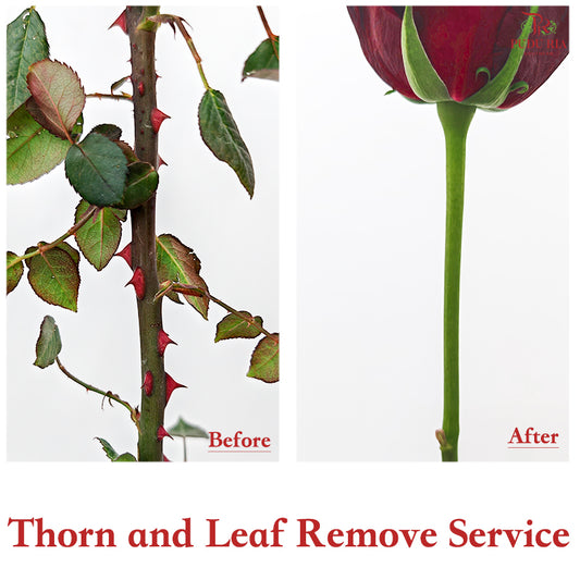Thorn and Leaf Remove Service