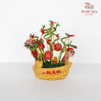 CNY Potted Plant Arrangement 2024#52