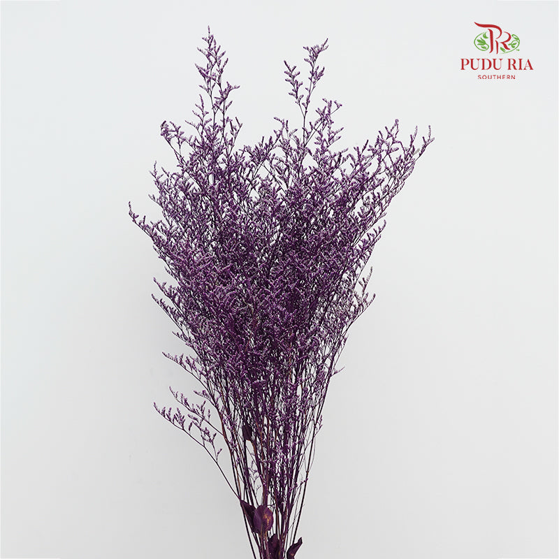 Dry Caspia - Purple