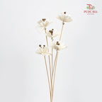 Dry Small Pomegranate Flower - White