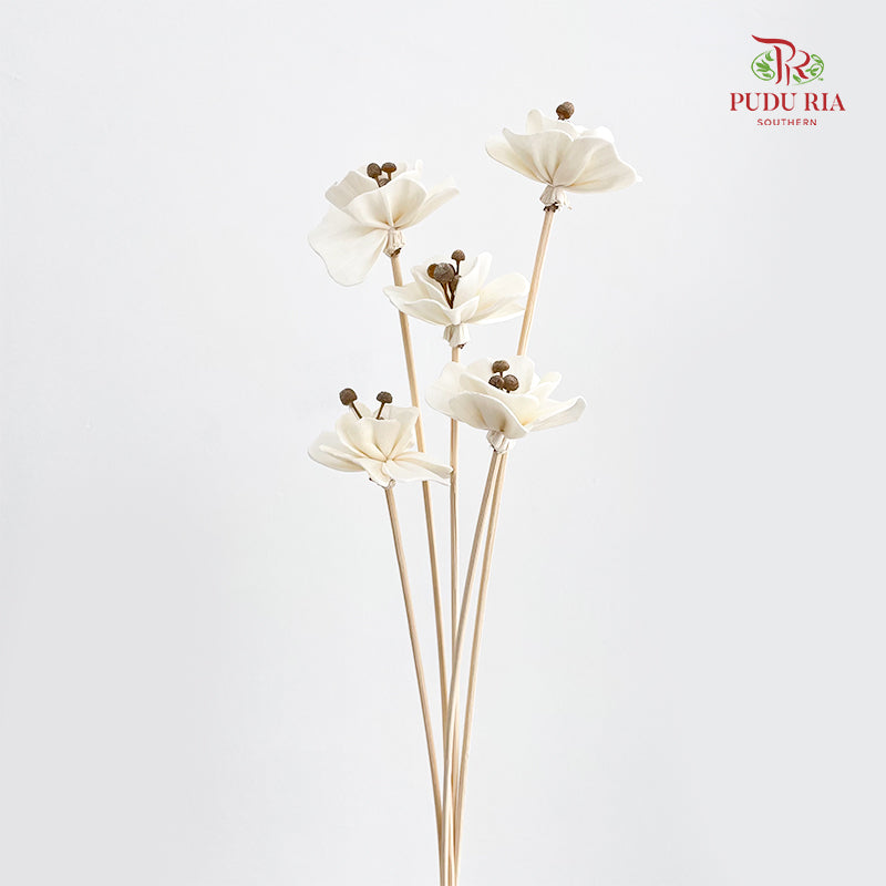 Dry Small Pomegranate Flower - White