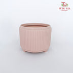 TY-8823 Asst Pot