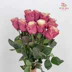 Rose Mondial Dyed Pop Star - (8-10 Stems)