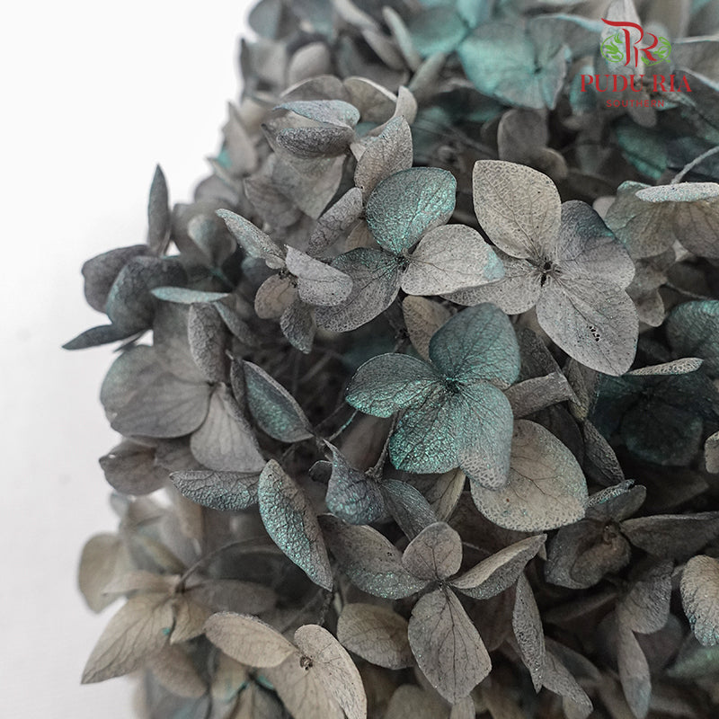 Preservative Hydrangea - Grey And Green - Pudu Ria Florist Southern