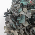 Preservative Hydrangea - Grey And Green - Pudu Ria Florist Southern