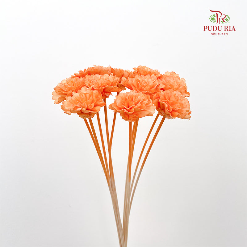 Dry Sola Marigold Light Orange - 10 Stems
