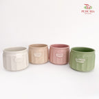 TYN-220206 Asst Pot