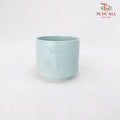 DF00627 Asst Pot