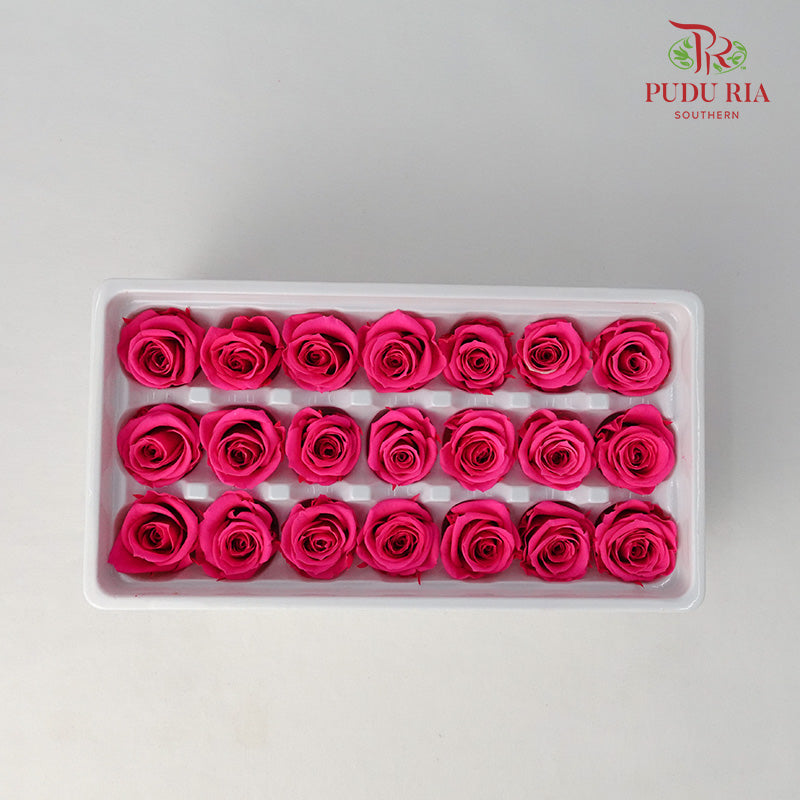 21 Bloom Preservative Rose - Hot Pink - Pudu Ria Florist Southern