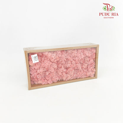 Preservative Reindeer Moss - Pink