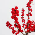 Ilex Purpurea Hassk Red - (5 Stems)
