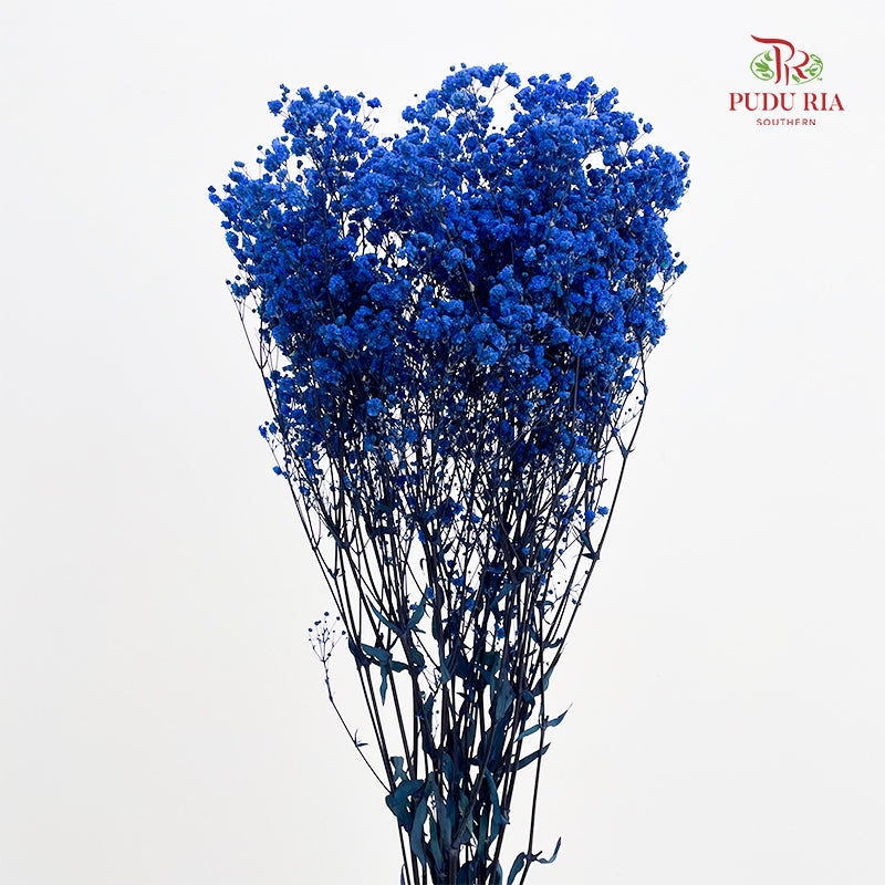 Preservative Baby Breath - Dark Blue
