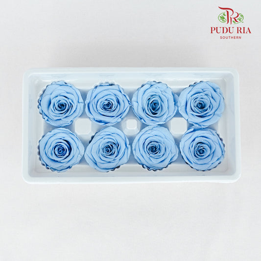 8 Bloom Preservative Rose - Sky Blue