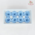 8 Bloom Preservative Rose - Sky Blue