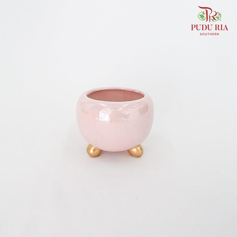 Asst Pot Pink